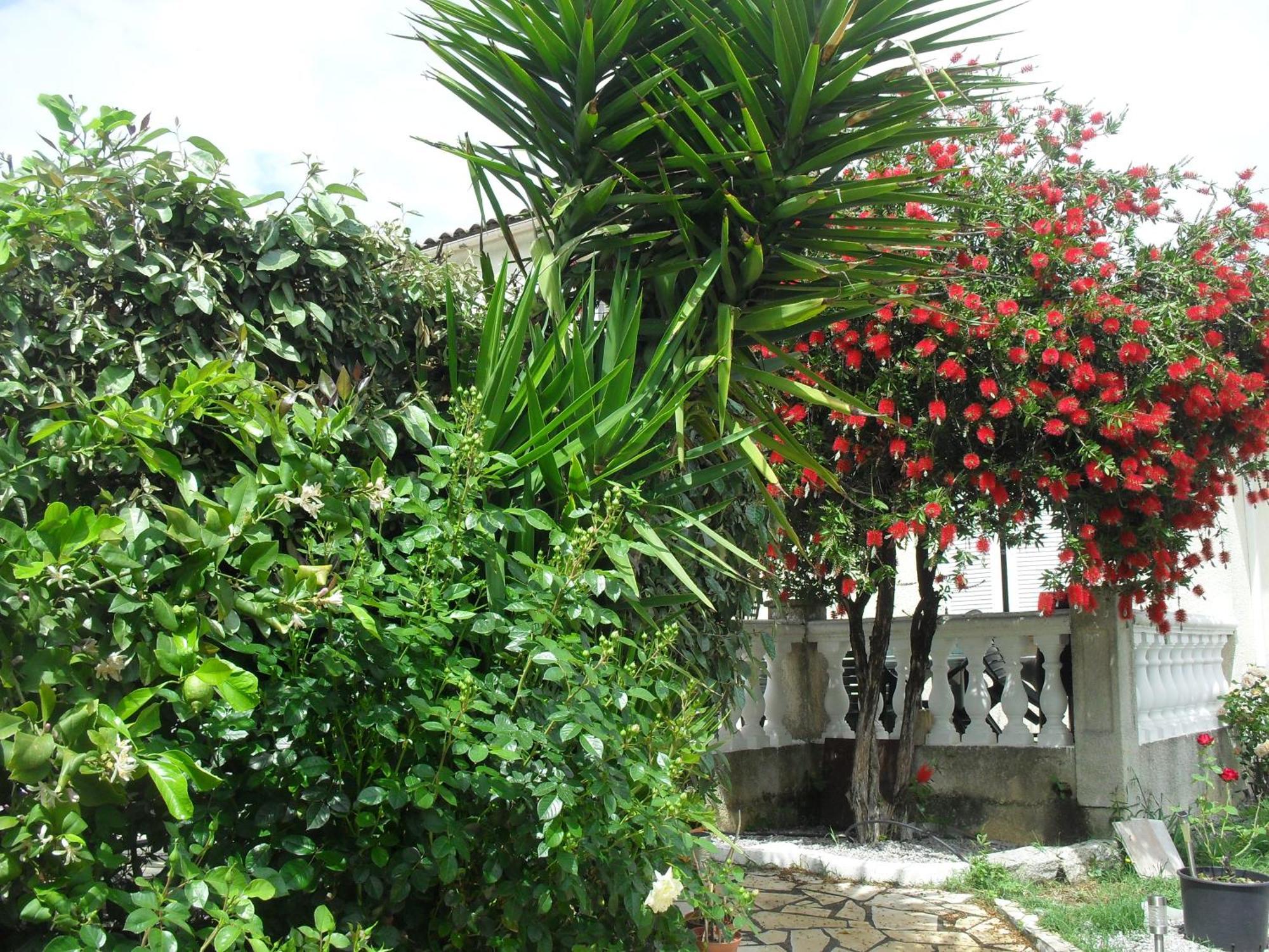 Bed and Breakfast Veronique Appietto Exterior foto